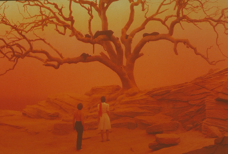 Cat People. 1982. USA. Directed by Paul Schrader. Courtesy Universal Pictures.