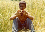 Bashu Gharibeh Kouchak (Bashu, the Little Stranger). 1986. Iran. Directed by Bahram Beyzaie. Courtesy mk2