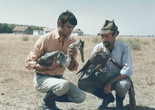 Magasiskola (The Falcons). 1970. Hungary. Directed by István Gaál. Courtesy National Film Institute of Hungary
