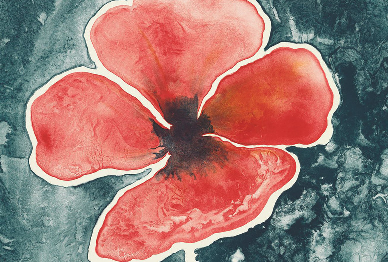 Ruth Asawa. Poppy. 1965. Lithograph. Proof outside the edition of 20. The Museum of Modern Art, New York. Gift of Kleiner, Bell &amp; Co. © 2025 Ruth Asawa Lanier, Inc., Courtesy David Zwirner
