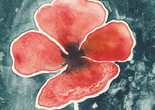 Ruth Asawa. Poppy. 1965. Lithograph. Proof outside the edition of 20. The Museum of Modern Art, New York. Gift of Kleiner, Bell &amp; Co. © 2025 Ruth Asawa Lanier, Inc., Courtesy David Zwirner