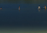 大湾区之肋 (The Rib of the Greater Bay Area). 2026. China/Hong Kong. Directed by Zhou Tao. Courtesy the filmmaker