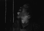 傷寒雜病論 (Panda). 2026. Singapore/Hong Kong/China. Directed by Xingyang Zhang. Courtesy the filmmaker