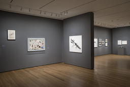 Installation photo, 9 of 20