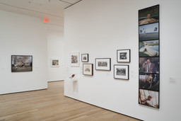 Installation photo, 20 of 32