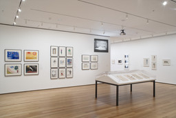 Installation photo, 9 of 20