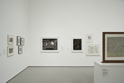 Installation photo, 59 of 72