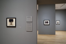 Installation photo, 2 of 27