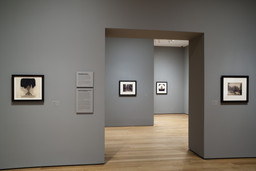 Installation photo, 3 of 27