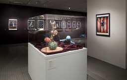 Installation photo, 71 of 74