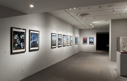 Installation photo, 72 of 74