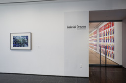 Installation photo, 7 of 7