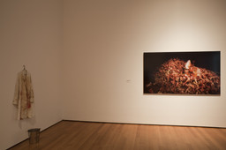 Installation photo, 69 of 134