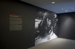 Installation photo, 3 of 13