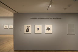 Installation photo, 2 of 13