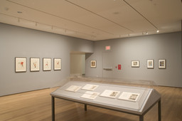 Installation photo, 7 of 13