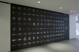 Installation photo, 10 of 76