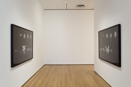 Installation photo, 9 of 32