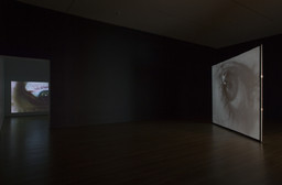 Installation photo, 6 of 37