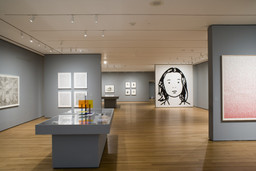 Installation photo, 66 of 74