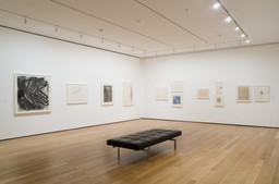 Installation photo, 6 of 16