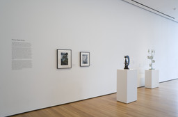 Installation photo, 1 of 6