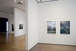 Installation photo, 12 of 25