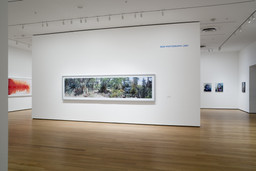 Installation photo, 8 of 11