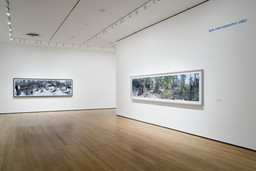 Installation photo, 10 of 11