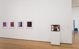 Installation photo, 19 of 35
