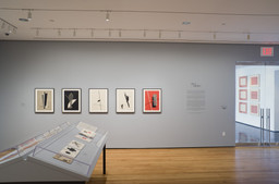 Installation photo, 6 of 27