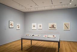 Installation photo, 8 of 27
