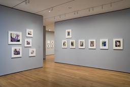 Installation photo, 10 of 27