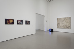 Installation photo, 10 of 141