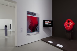 Installation photo, 36 of 141