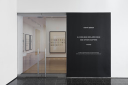 Installation photo, 17 of 17