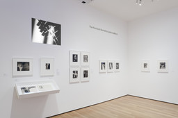 Installation photo, 8 of 43