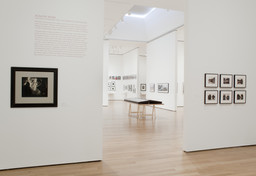 Installation photo, 20 of 54