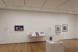 Installation photo, 5 of 18