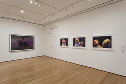 Installation photo, 17 of 18