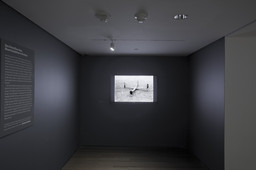 Installation photo, 2 of 29