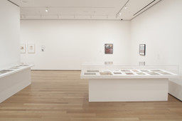 Installation photo, 12 of 29