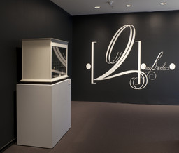 Installation photo, 46 of 59
