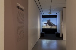 Installation photo, 12 of 15