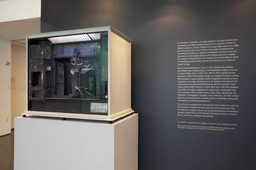 Installation photo, 2 of 59