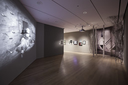 Installation photo, 4 of 59