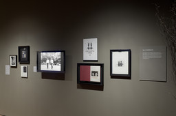 Installation photo, 7 of 59