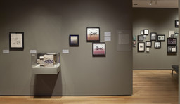 Installation photo, 20 of 59