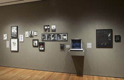 Installation photo, 25 of 59