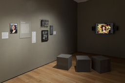 Installation photo, 30 of 59